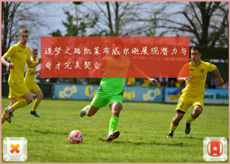 追梦之路凯莱布威尔逊展现潜力与奇才完美契合