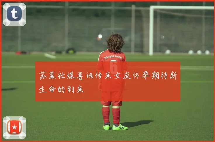 苏莱社媒喜讯传来女友怀孕期待新生命的到来
